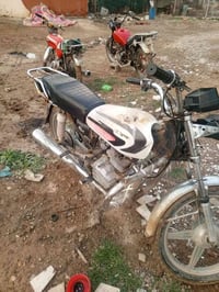 ٢٥٠ • بدون اوراق • بعقوبه