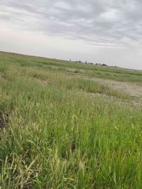 سفحه طريق ابو الماش • ٢٠دوم