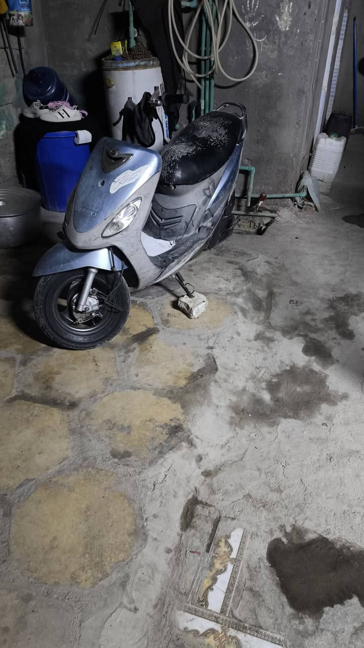 سلام عليكم ماكس 55 نهضه ومعدل عوزها فقط باتري كهربايات  شغاله لكفر لكدام مال لسترين موجود  شغاله ليريدها يجي خاص ولمو شراي لا يراسل دوم سعر 350 وبيها مجال


**إذا كنت صاحب هذا الإعلان وتريد حذفه لأي سبب، رجاءا أرسل رسالة إلى الدعم الفني**