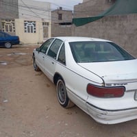 دولفين • ١٩٩٣ • رقم واسط