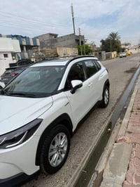 ٢٠٢٤ • فول • رقم سليمانية