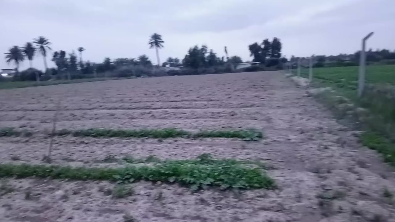 أرض للبيع في ابو غريب في منطقه حميد شعبان نوع أرض طابو صرف مساعه ارض دونمين ونصف سعر دونم 140 مليون متوفر كافت الخدمات للتصال على رقم ***********
