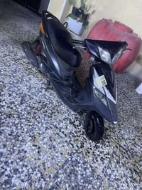 ثعلب • بلاديه • مكفوله