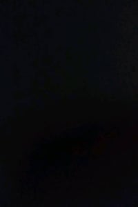 تعلن شركة الاصيل (الشركة التوظيفية المصدقة والموثوقة من وزارة العمل) ع...