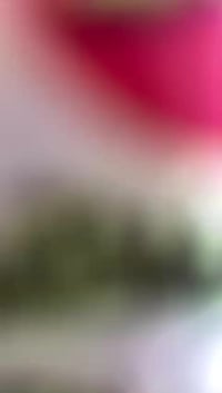 تكتك 22 للبيع بيها طخطخات بسيطه مكان الدوره أبو دشير السعر ع المخابرات...