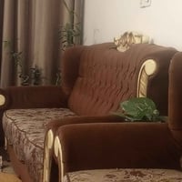ملكي ١٠ مقاعد مابي اي ظرر عنوان مدينة الصدر 07707700258 واتس اب
