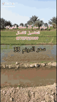 الخيرات زبيد • ٧ دونم • سند ٢٥