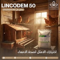 اضطرابات الأمعاء البكتيرية لا تؤثر فقط على صحة القطيع… بل تنعكس مباشرة...