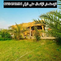 دونم طابو • سند ٢٥ • مخدوم نخيل