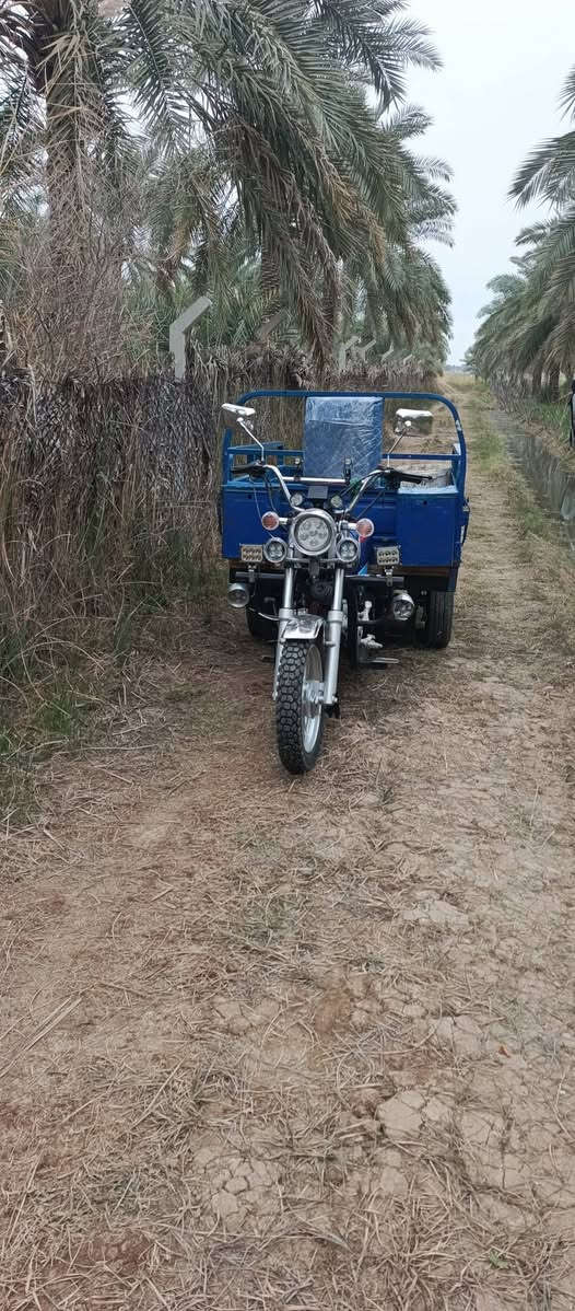 السلام عليكم ستوته جمره للبيع موديل 11اوراق كامله مكاني واسط عزيزيه ***********
