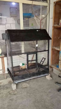 قفص خشب لبيع 45 شراي خابر يرهم كلشي 07755123233