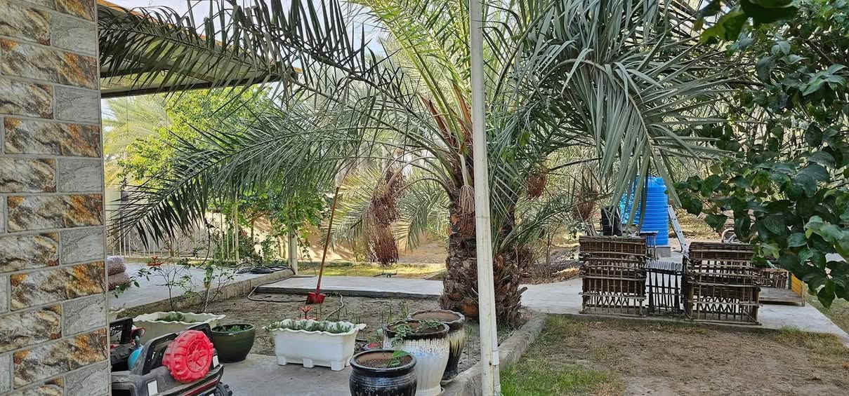 موقع مثالي في كربلاء💯
✅️مزرعة للبيع مساحة 
خمسة دونم واجهة 200 م  
تحتوي على دار إستراحة 
تحتوي على 300 نخلة ملونة 
تحتوي على 900 شجرة مثمرة 

✅️متوفرة كافة الخدمات
تبليط، ماء، كهرباء، مدارس 
طابو سند 25 سند مستقل 
منفرد بإسم شخص واحد 

✅️الموقع كربلاء - شارع رابط
 الزبيلية( قرب معمل غاز العرفان ) 
تبعد عن شارع رابط الزبيلية 500 م
تبعد من مركز مدينة كربلاء 10 كم 

💰سعر المزرعة// مليار دينار عراقي 

📞إتصل الآن: ***********
مكتب حيدر الحسناوي للعقار عنوان المكتب كربلاء شارع الرابط قرب جامع دمعه رقيه
