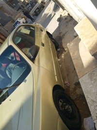 فيرنا • ٢٠٠١ • مصبوغة