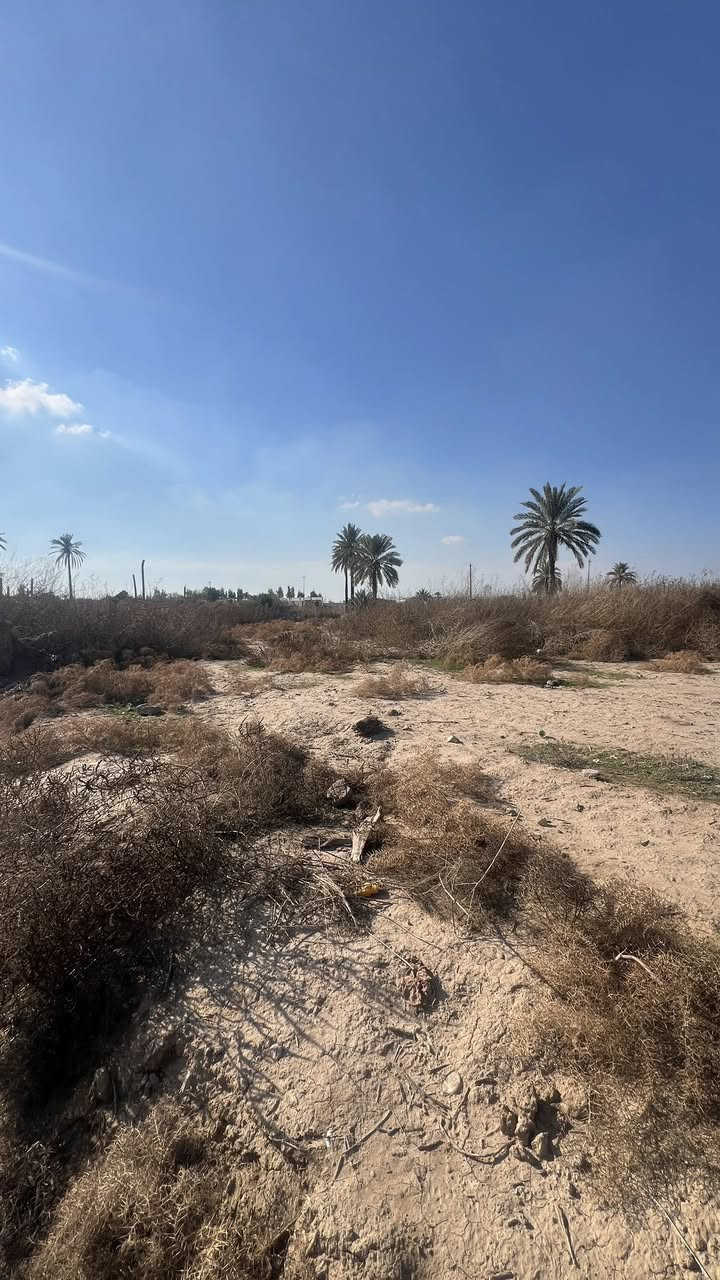 قطعة ارض للبيع طابو زراعي
قضاء بلد قرب مدخل 5
مساحتها 2500M قرب المزراع 
وقريبة على الشارع العام
للاستفسار ‭***********‬
