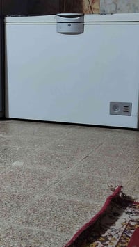 النجف ابو صخير • مجمدة • نضيفه