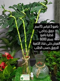 عرض خاص الجمعة فقط العرض ميتفوت 😍 سارع بالحجز الكمية محدودة للطلب والا...