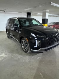 بالسايد • ٢٠٢٤ • كشنات جلد