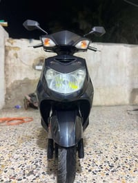 سكنس فحل • ياباني • معدل