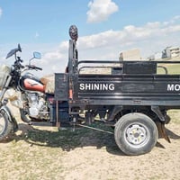 ستوته 2019 • بدون صبغ • كركوك الصياده