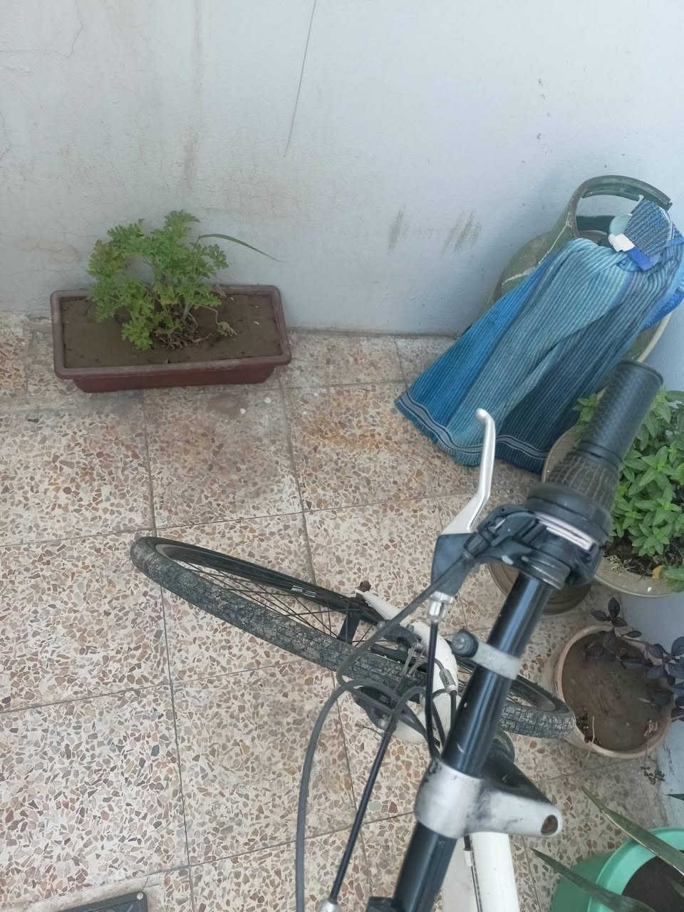 بايسكل c700
الحجم 27
السعر 80


**إذا كنت صاحب هذا الإعلان وتريد حذفه لأي سبب، رجاءا أرسل رسالة إلى الدعم الفني**