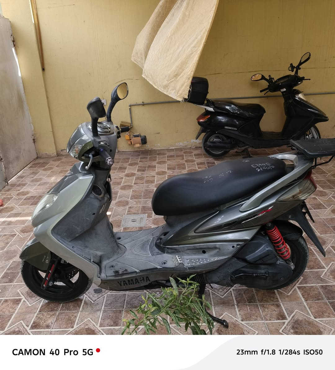 سكنس فحل للبيع بلادية مكفولة من الطول للطول السعر  950رقم ***********
