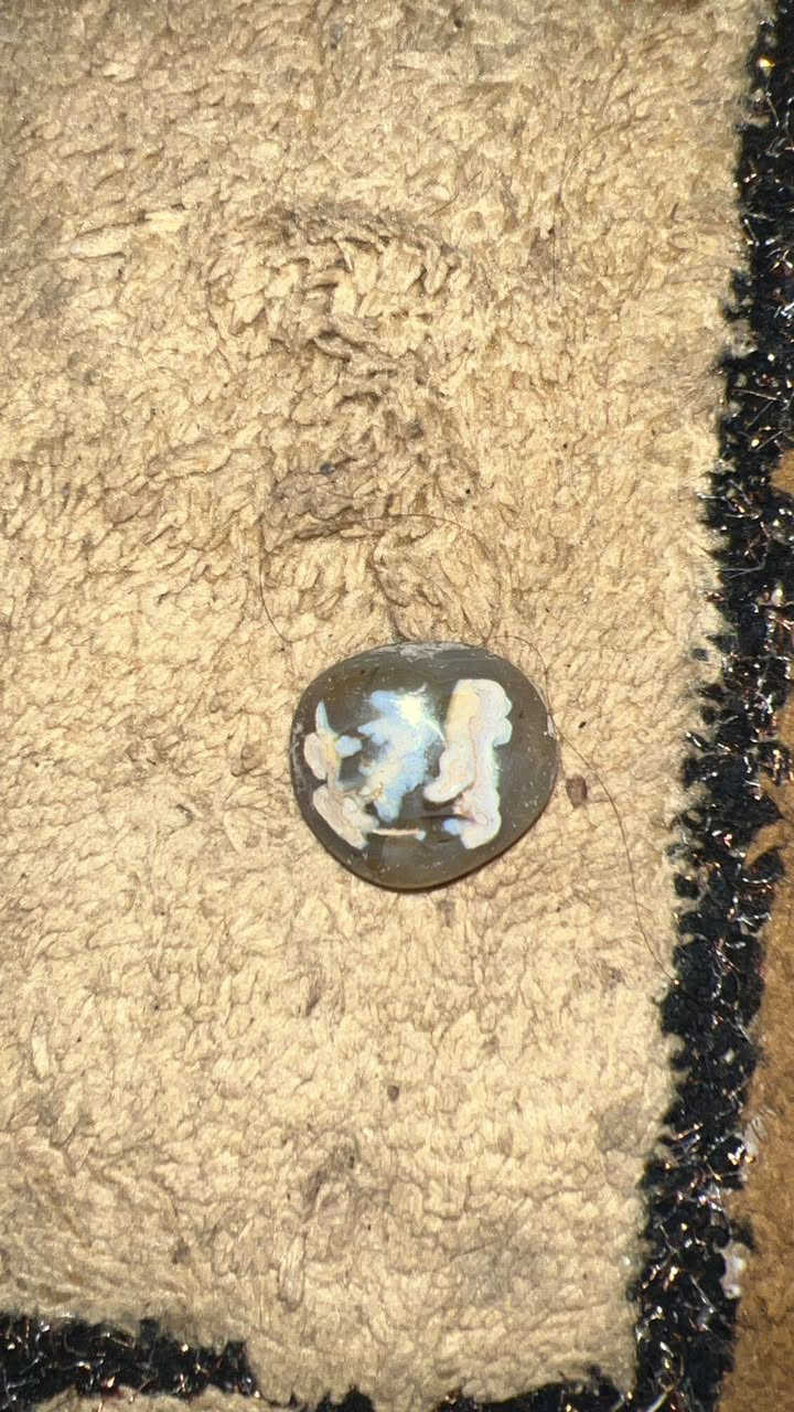 مراوس فقط


**إذا كنت صاحب هذا الإعلان وتريد حذفه لأي سبب، رجاءا أرسل رسالة إلى الدعم الفني**