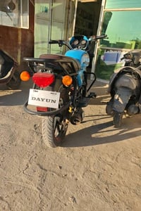 دايون 2024 • نقص صينية الزنجيل • بابل حلة