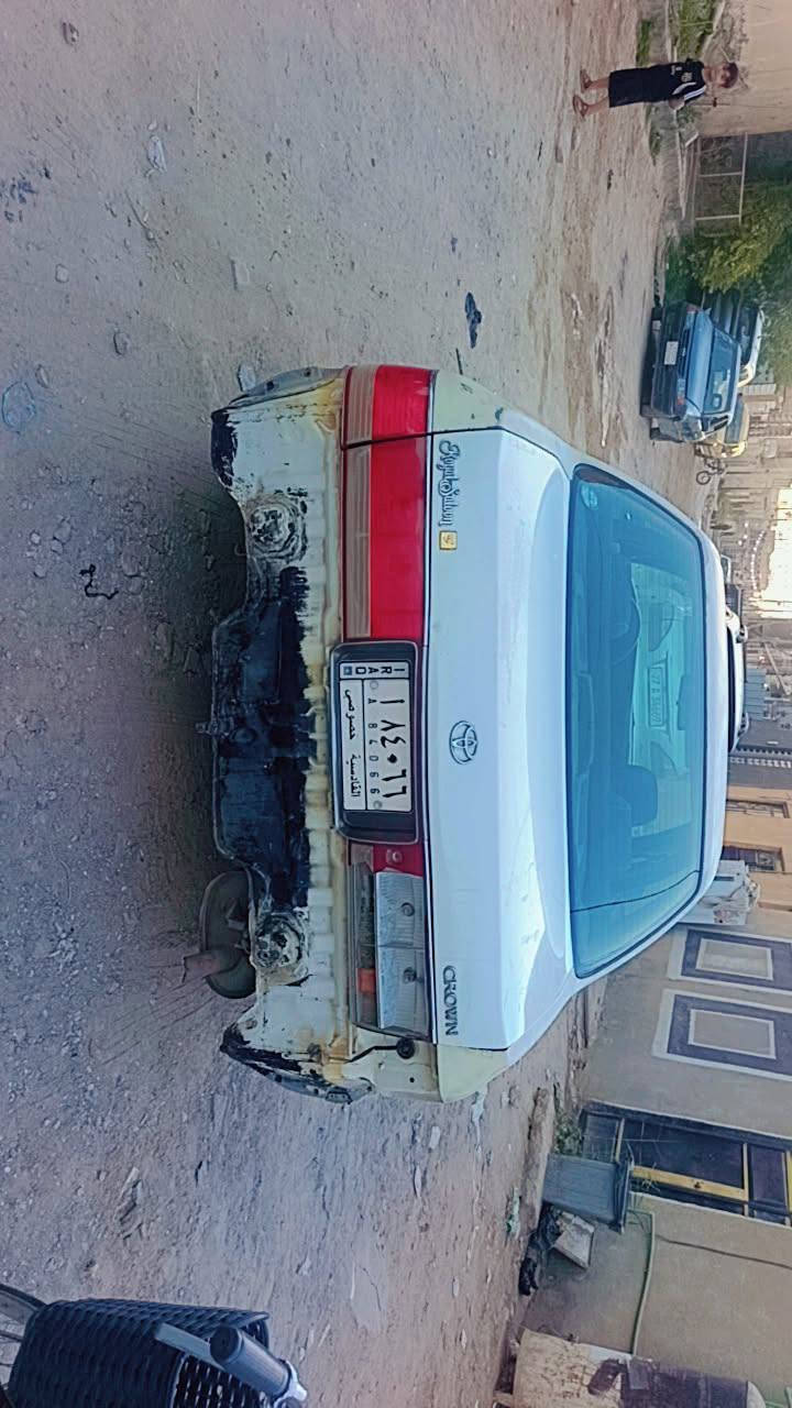 رأس الثور للبيع غماس *********** النجف, العراق
