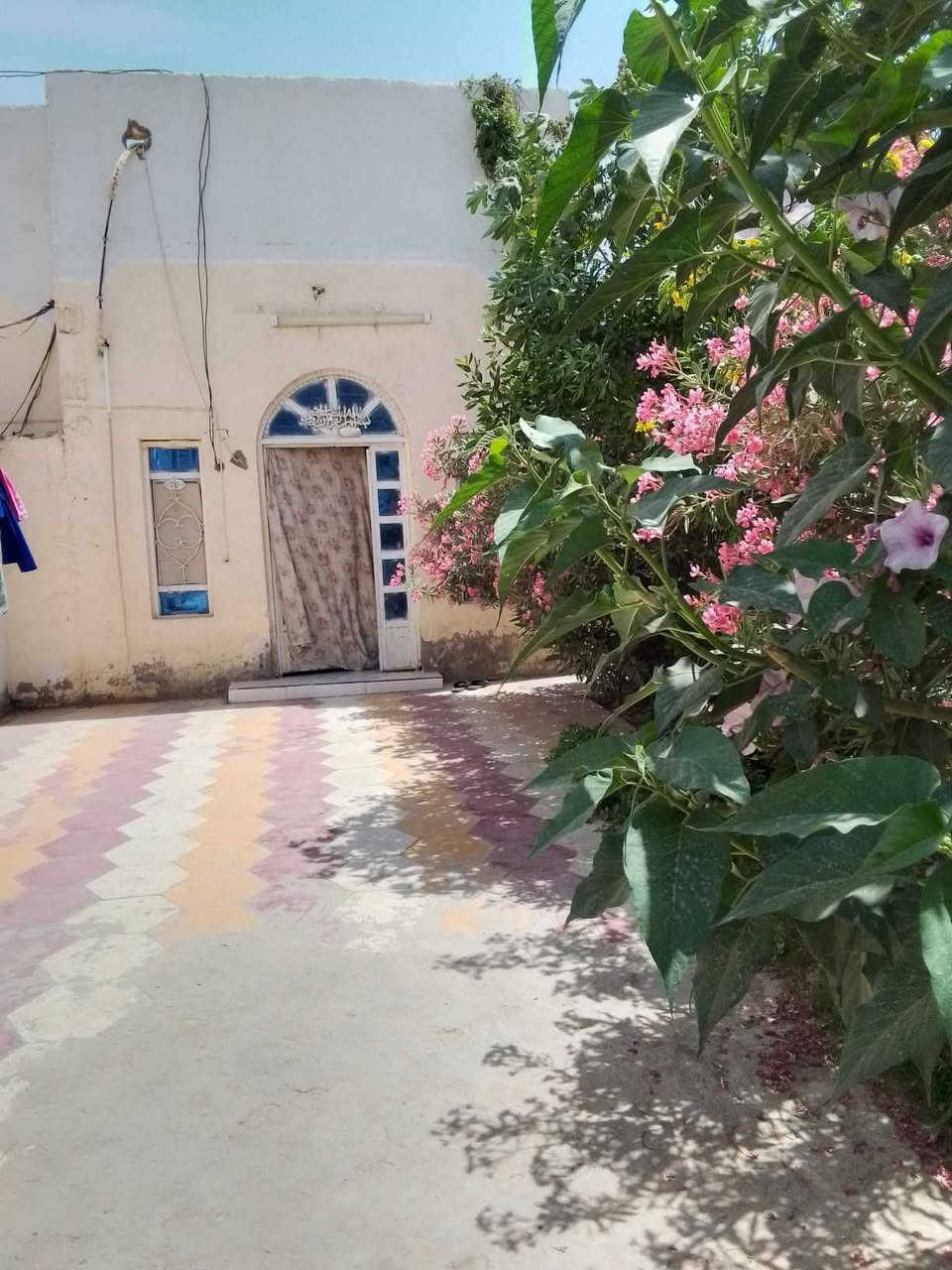سلام عليكم مكلفه بالنشر 
بيت للبيع عنوان الحمزه الشرقي حي بجاي المساحه 400متر زراعي قرب شارع العام نزله الامام الحمزه الثانيه يرهم مراوس اوللبيع بمكان قريب ع ولايه يحتوي ع3غرف وصاله ومطبخ واستقبال مجمع صحيات وساحه خارجيه وحديقه للاستفسار اكثر الاتصالات ع احد الارقام 
الرقم الاول ***********
الرقم الثاني ***********
تفاصيل والصور 👇
