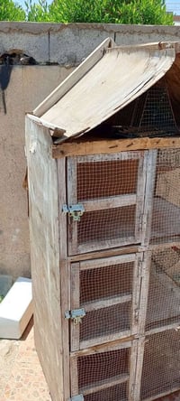 قفص طيور • ٣خانات • قابل تفاوض
