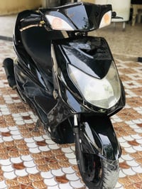 سكنس فحل • نوزل • المحاويل