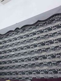 بردات • زيبرا