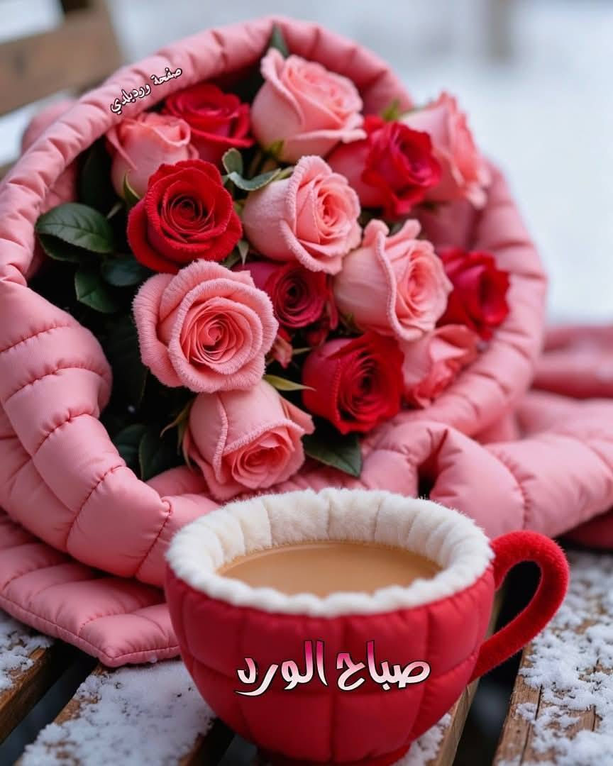 متوفر حسب الطلب اي استفسار على الخاص وعندي توصيل داخل النجف


**إذا كنت صاحب هذا الإعلان وتريد حذفه لأي سبب، رجاءا أرسل رسالة إلى الدعم الفني**