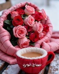 النجف • توصيل داخل النجف • حسب الطلب