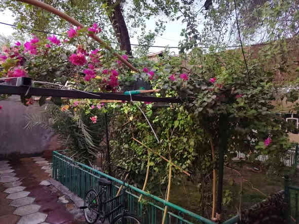 بسم الله الرحمن الرحيم
إعلان بيع بيت
الموقع:بيت حي طارق الوصط 300، طابو صرف باسمي، اول فرع.
المواصفات:
ستقبال كبيره كما موضح 

الواجهة: 12 متر
النزال: 25 متر
يحتوي على صحيات خارجية
حديقة كبيرة وكاملة كما موضح بالصور.

الطابق الأول:

3 غرف نوم كبيرة
صالة كبيرة مع ترك مساحة كبيرة
حمامات داخلية
استقبال كبيرة

الطابق الثاني:

2 غرف
صالة
حمامات داخلية

ملاحظات:

البيت جديد وبناء متين.

للاستفسار:
للمهتمين بالشراء، يرجى الاتصال على الرقم: ***********
السعر مناسب. ونحن في خدمتكم.
