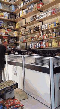 غرفة المشتريات في مجمع الفرحان التجاري
كل ما تحتاجه تحت سقف واحد!
📍 العنوان:
بابل – الإسكندرية – منطقة الشجيرية
طريق حلة – بغداد
🛍️ نوفر لكم مجموعة مميزة من المحال التجارية
✔️ أسعار منافسة
✔️ مواقع تجارية مميزة
✔️ بيئة تسوق عائلية ومريحة
📞 أرقام المبيعات والاستفسار:
***********
***********
***********
***********
***********
***********
