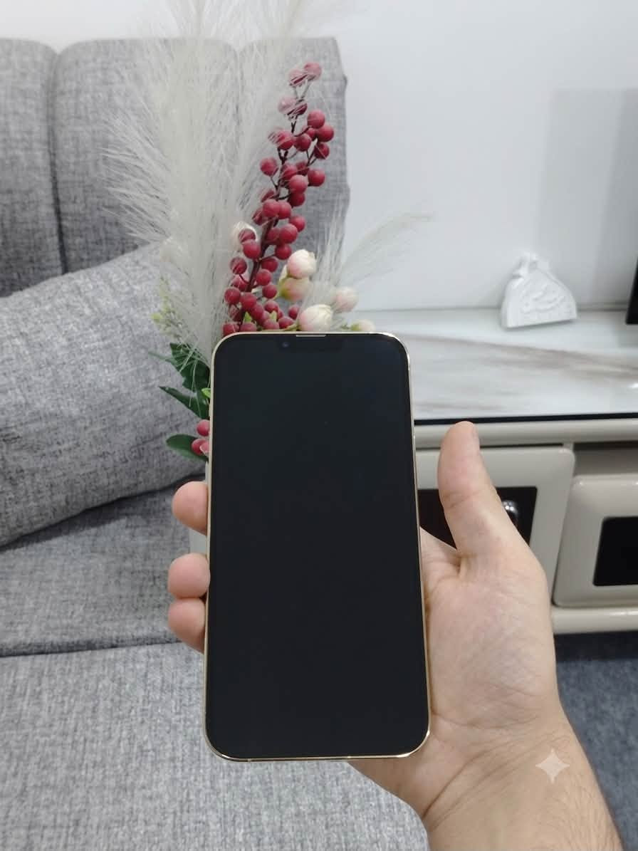 👑 آيفون 13 برو ماكس (iPhone 13 Pro Max) - بحالة الوكالة للبيع 👑
الجهاز جديد وعينك ميزانك، لا مفتوح ولا مبدل بيه برغي واحد وبضمان الشركة!
✨ المواصفات والضمان:
 الموديل: iPhone 13 Pro Max
 الذاكرة: 256 جيجابايت 💼
 اللون: ذهبي ملكي (Gold) ✨
 البطارية: 84% (أصلية بلاد) 🔋
 الضمان: الجهاز وياه ضمان سنة كاملة وما خلصان بعده 📝
 الملحقات الأصلية: يجي وياه كامل ملحقاته من الوكالة (الكرتونة الأصلية + شاحنة أبل السريعة الأصلية بقوة 20W بكرتونتها + كيبل الشحن الأصلي) 🔌
📸 الكاميرا: فول الفول ونظافة الصورة والزوم 100%.
🔍 شرط الفحص: المشتري يجي يقعد ويفحص على راحته من الألف إلى الياء، وإذا طلع بيه أي نقص أو برغي مفتوح لا يشتري.
💰 السعر: 750 ألف دينار عراقي.
📍 الموقع: النجف الأشرف - حي النداء
📞 للتواصل والاستفسار (واتساب أو اتصال): ***********
