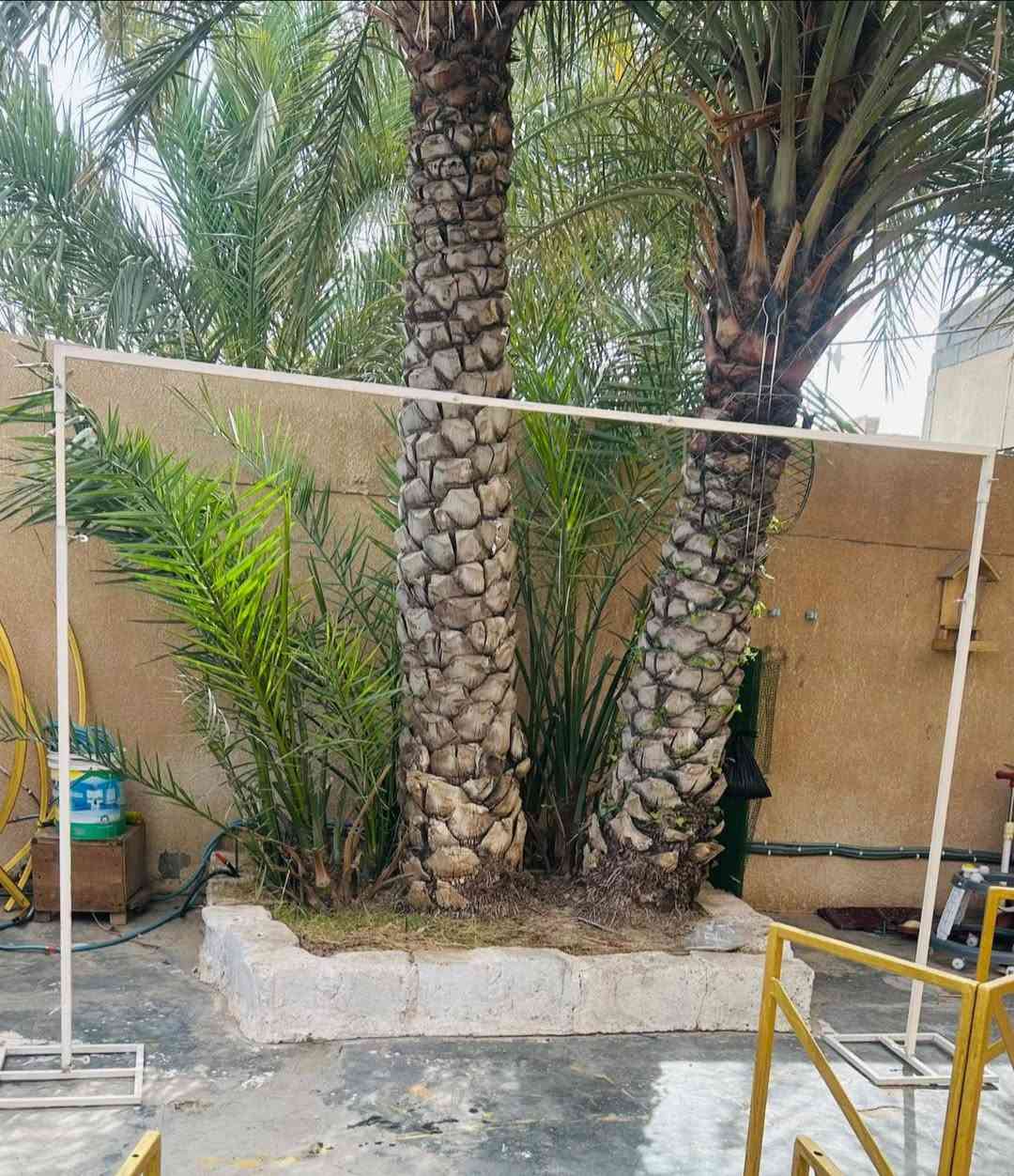 اغراض للبيع اسعارهن جوه الصور
مكاني ديالى_بلدروز 
توصيل ديالى فقط


**إذا كنت صاحب هذا الإعلان وتريد حذفه لأي سبب، رجاءا أرسل رسالة إلى الدعم الفني**
