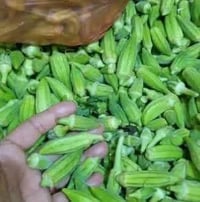 بامية • بامية ديالى • بامية جملة • بامية للبيع • خضروات • بامية بغداد ...