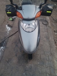 سبيسي ياباني • بستم ناعمه • الكوت