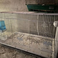 قفص حجم كبير للبيع الاتصال الرقم 07518160203