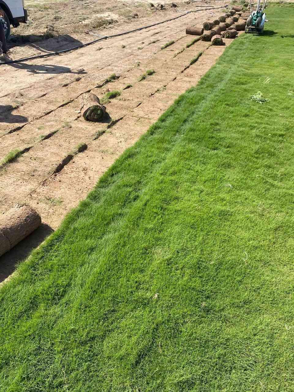 🌿 مزارع ديالى للثيل الطبيعي – جودة بلا حدود! 🌿
💚 نوفر لك أجود أنواع الثيل الطبيعي (هندي درجة أولى) – مناسب لجميع الاستخدامات:
🏡 المنازل | 
🌱سعر المتر المربع 1750 دينار 

🌳 الحدائق | ⚽ الملاعب | 🏢 الدوائر | 🏗️ المشاريع الاستثمارية
✔️ أسعار تنافسية لكل متر مربع
✔️ خصومات خاصة للكميات الكبيرة
✔️ نوفر جميع الأنواع: #هندي | #فرنسي | #إيطالي | #إسباني | #إنكليزي
📦 قدرة عالية على تجهيز كميات ضخمة للمشاتل والملاعب
🌱 نوعية ممتازة وزراعة احترافية – مع كادر متخصص لضمان أفضل النتائج!
🚚 التوصيل سريع، والثيل يصل إليك لباب بيتك!
📞 للطلب والاستفسار:
📲 ***********
📲 ***********
✅ الجودة الأفضل – ✅ الأسعار الأوفر – ✅ الخدمة الأسرع
