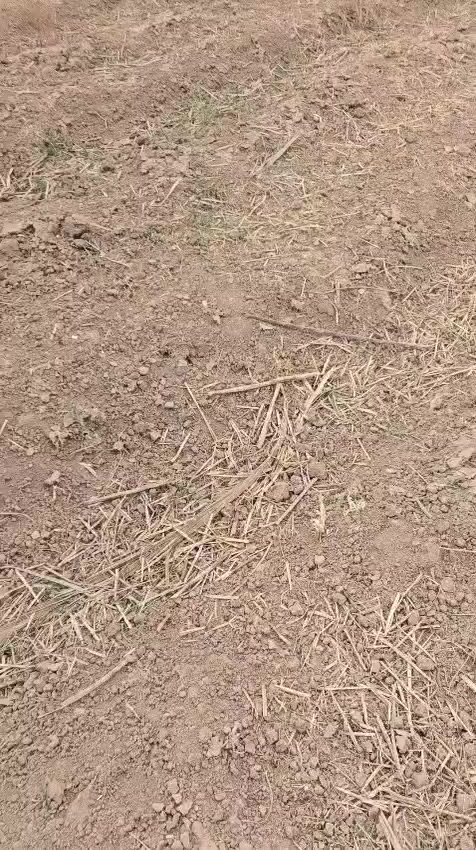 السلام عليكم ارض زراعي المساحه 3000 الاف متر طابو زراعي سند 25 تحويل مباشر باسم البائع السعر كلش مناسب  80 مليون بي مجال العنوان بابل ابو غرق شارع 100 الربط بزل حجي علي للاستفسار الاتصال على الارقام التاليه 
***********
***********
او زياره مكتب 🛣️ السور الامين شارع 100قرب مدرسه الطفوف
