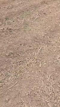 طابو زراعي • ٣٠٠٠م • بابل أبو غرق