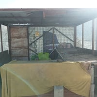 مرخصه مدير الكروب   سقفيه للبيع 07816230165 خاص موجود سعر ٢٥٠ وبيه مجا...