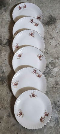 طبق رومني • زينة