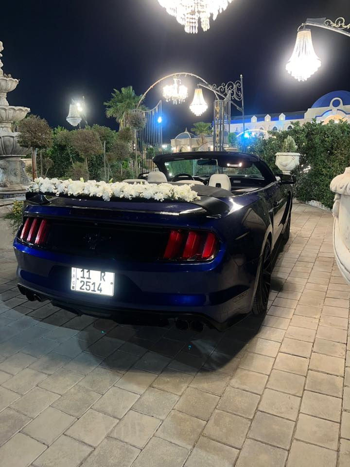 Mustang 2016 v6 
سعر بلاش 130$ مجال بسيط 
گير محرك اكسل مكفولات

صدر امامي خلفي جديد مبدلات
كهربائيات شرط
الاضافات
بجم محدث كامل شيلبي
لحيه شيلبي 
جنح شيلبي
دوسات شيلبي 
داخل ابيض جلد
ادامه كامله للمحرك
بلاكات جديد 
فيتبمب جديد 
ماكو ولا كلوب بالدشبول
رقم سنويه جديد 
سيارة بيها صبغات ابيع عام وهيه مو عام
حادث فقط جاملغ 
.
مكان سياره بابل
0783 552 5588‬ //*********** 
سياره بدون اي نقص
