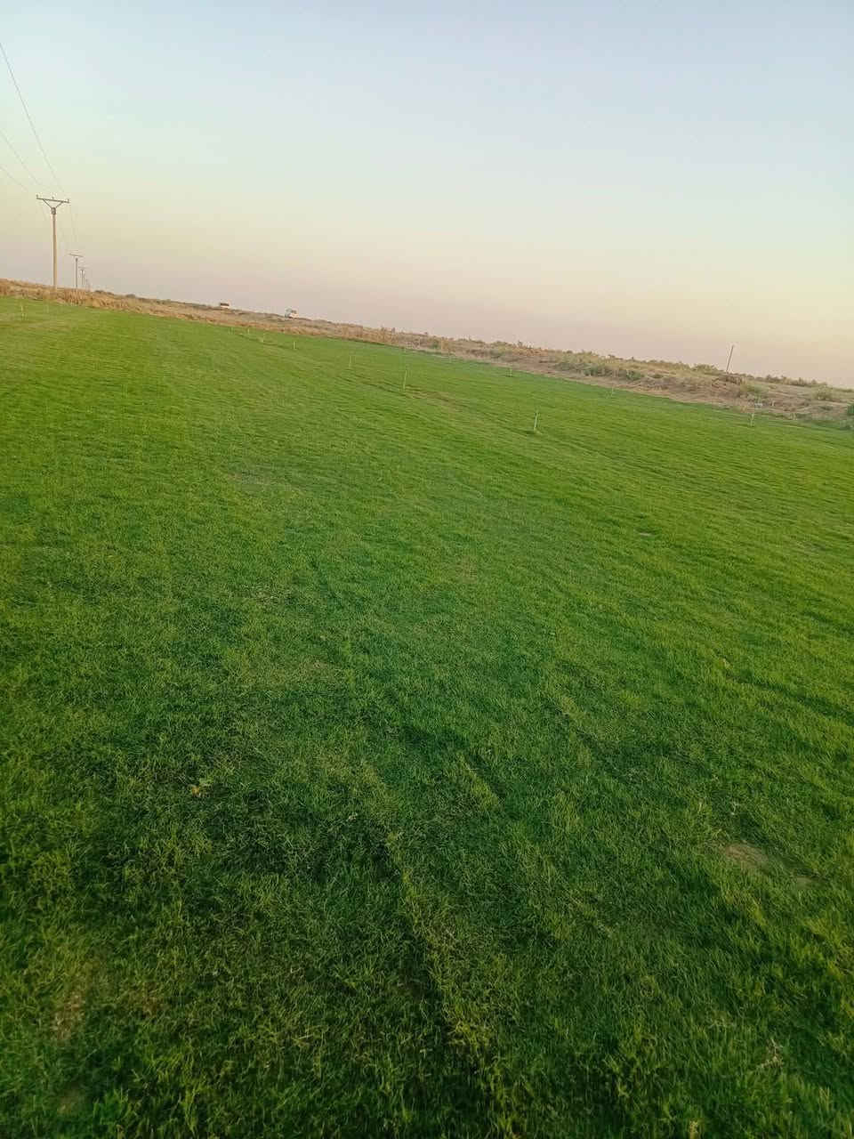 الثيل الهندي درجه الأولى
للحجز الاتصال او المراسلة على الواتساب على الارقام : 

*********** اتصال 

محافظات العراق توصيل
