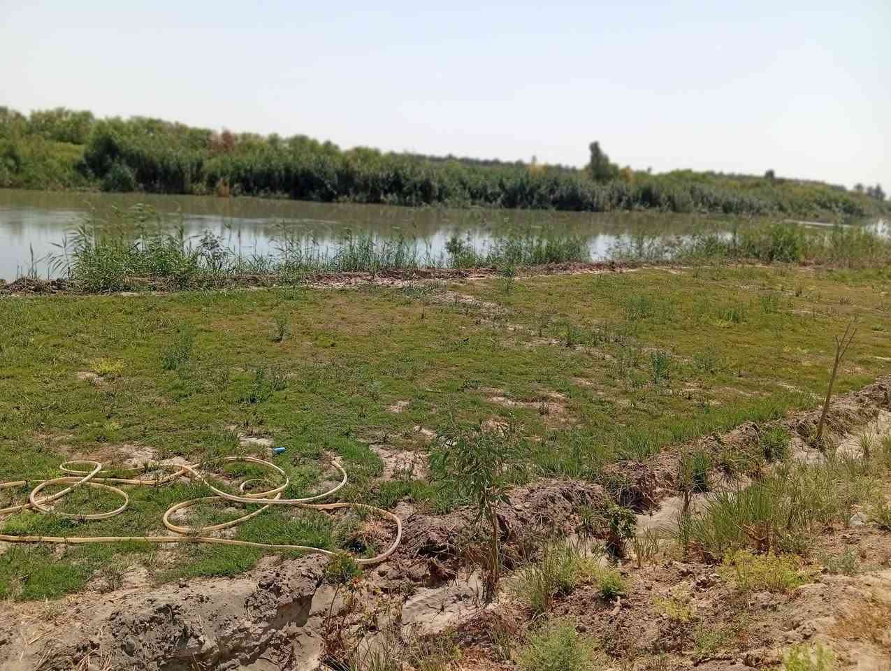 السلام عليكم
مزرعه للبيع 3 دونم مع
 بيت بناء حديث عن 2024 
سقف كونكريت 
 الارض مسيجه بي ار سي
تحتوى على نخيل انواع ممتازه 
و اشجار تين و حمضيات 
و عنب انواع 
موقعه صدر الدغاره عله شط الديوانيه 
***********
