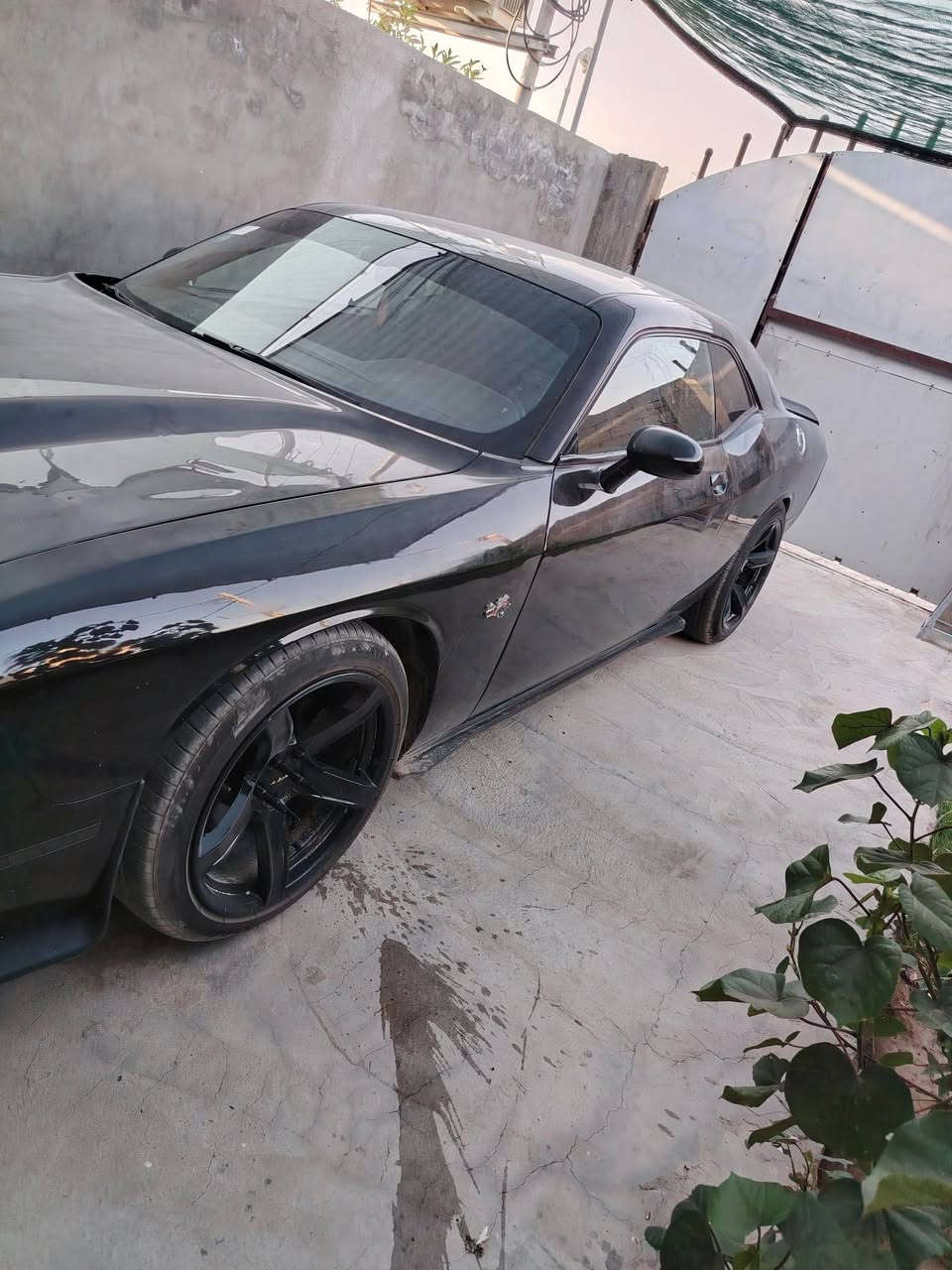 للبيع جالنجر ٢٠١٣
سلندر ٣٦٠٠ sxt 
كفاله عامه عده صبغ حزام للجماليه 
حادثه دعاميه اماي وخلفي فقط  (تعتبر كلين) 
تشغيل عن بعد 
تخم تاير قبل ١٥ يوم من شادهن سعرهن ٥٠٠ الف 
بور جديد 
مشط جديد 
مروحه جديده 
راديتر جديده 
فلنجات جدد 
دسكات جدد  
فيت بم جديد 
صدر امامي وخلفي جديد 
تبريد تدفئه شغال  
بجمه محدث 
سياره برغي ما ناقصه   بسمي رقم بغداد انكليزي قبل شهر من داورته 
سياره مال جناي  
مكان حله ***********
١٢٥ وبيه مجال  
تعمير كامل للسياره اي نقص مابيه
